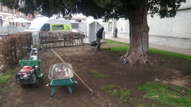 Groeiplaatsverbetering rond een oude boom