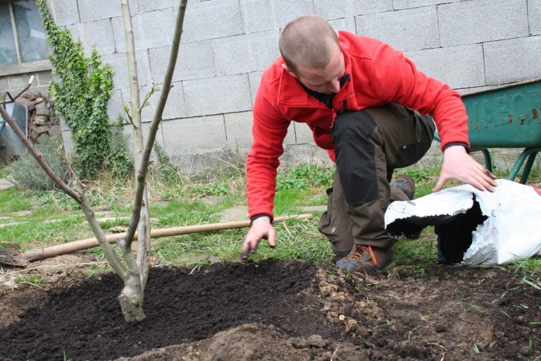 Aanplant van een boom uit de eigen kwekerij